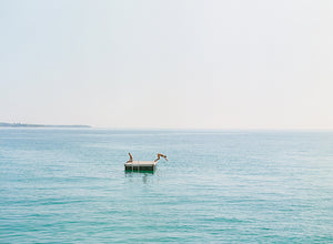 Cannes | No. 4