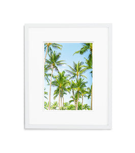 Tropical Garden | No. 9