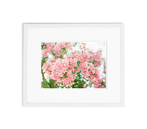 Pretty In Pink | No. 7