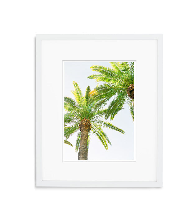 Majestic Palm Trees | No. 4