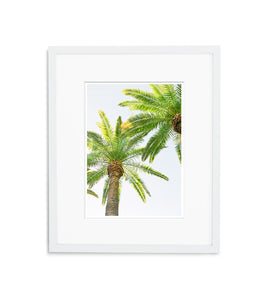 Majestic Palm Trees | No. 4