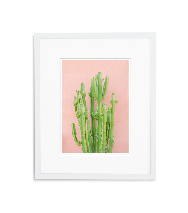 Secret Cactus Garden | No. 2