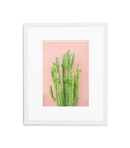 Secret Cactus Garden | No. 2