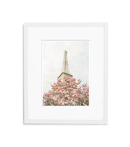 Haute Couture Pink Magnolia | No. 1