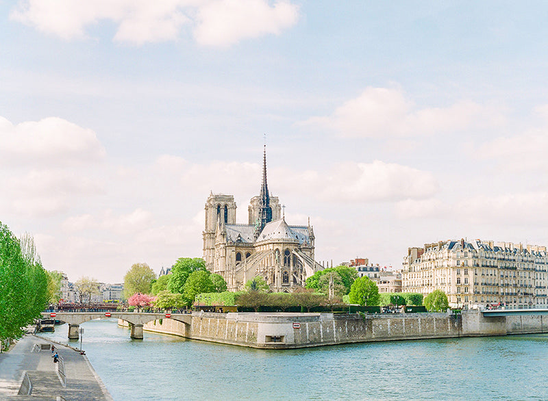 Notre Dame de Paris | No. 5