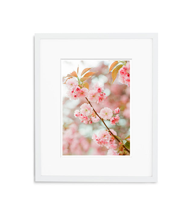 Oh Mon Cherry | No. 6
