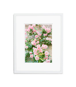 Dancing Roses | No. 2