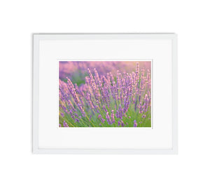 Lavender Bath | No. 6