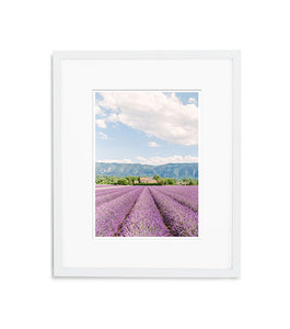 Lavender Bliss | No. 7