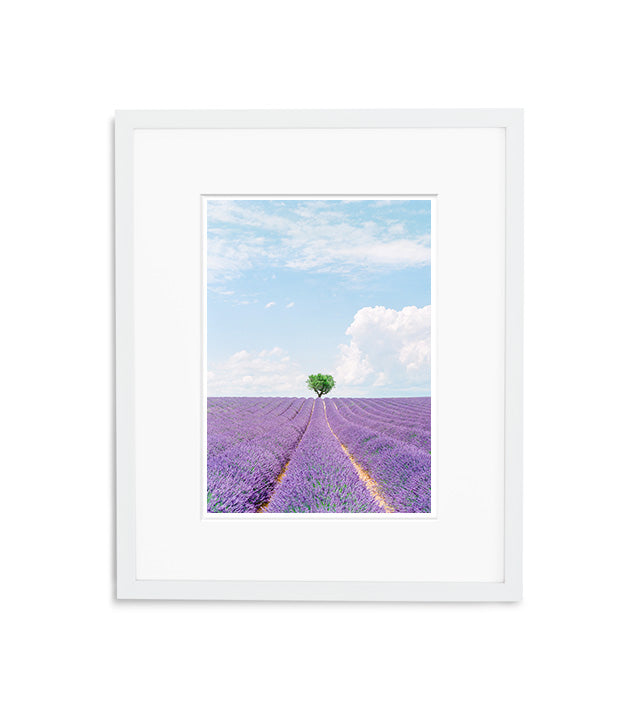 Purple Island | No. 11