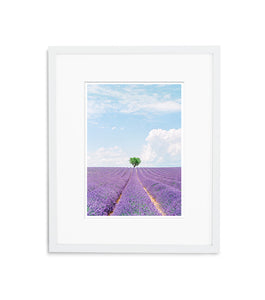 Purple Island | No. 11