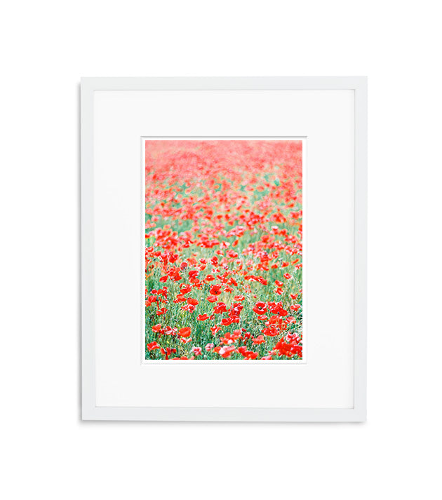 Red Poppies Dance | No. 12