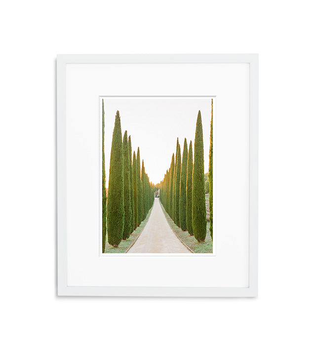 Road to Provence Paradise | No. 13