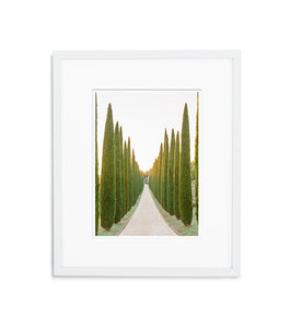 Road to Provence Paradise | No. 13