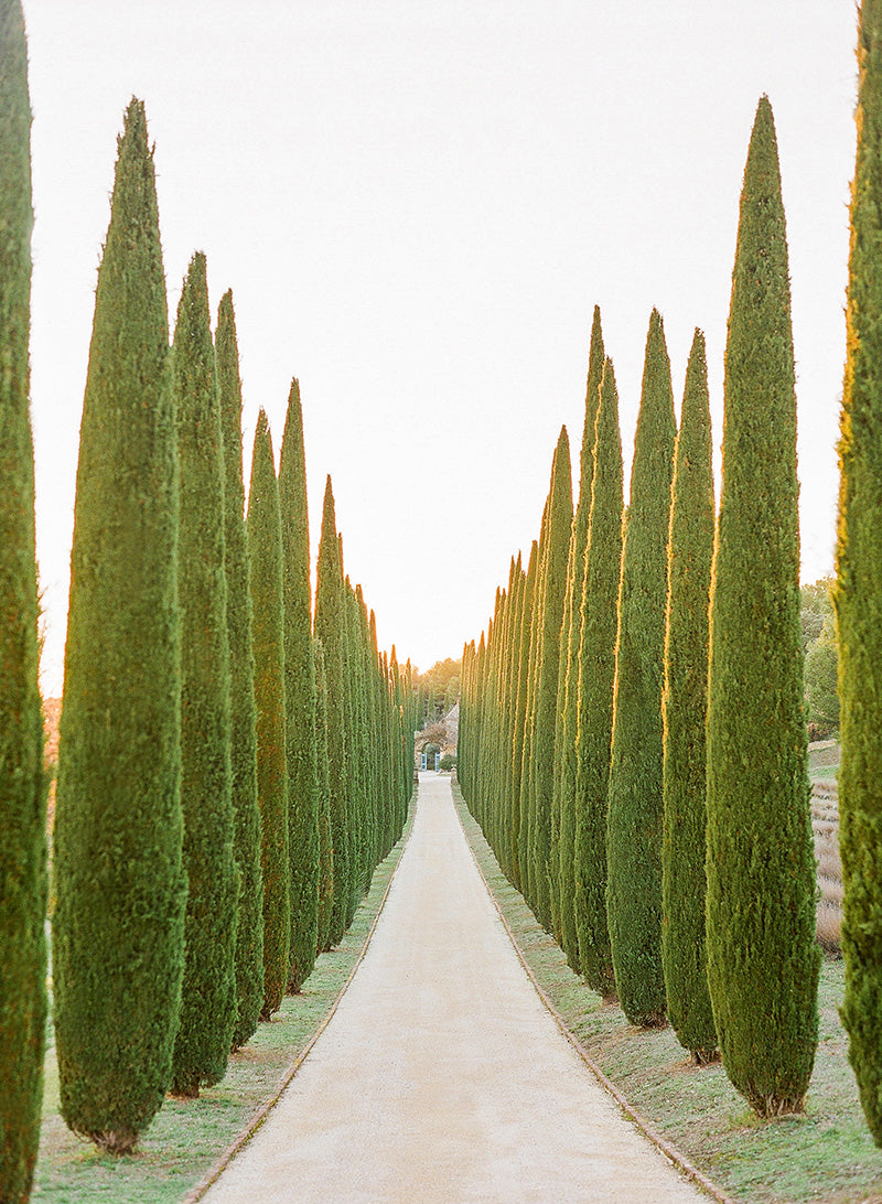 Road to Provence Paradise | No. 13