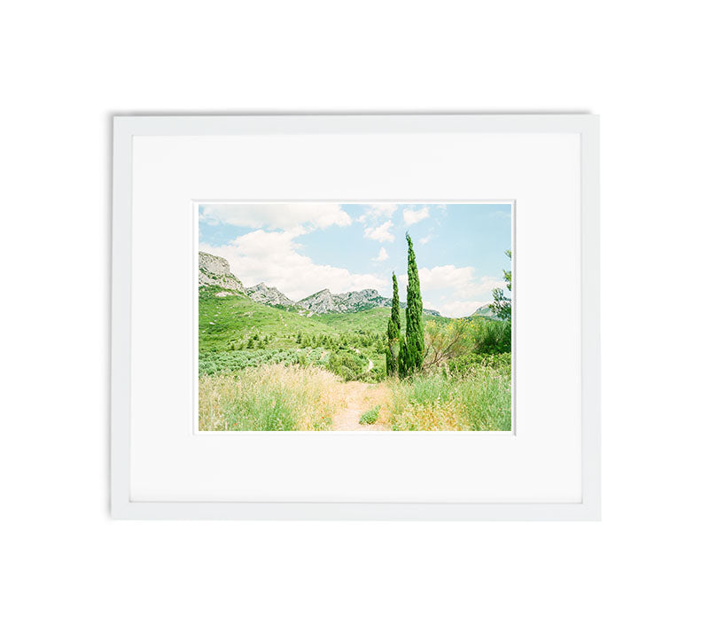 The Provence's Artist | No. 16