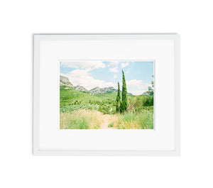 The Provence's Artist | No. 16
