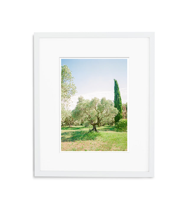 Tree Of Life | No. 17