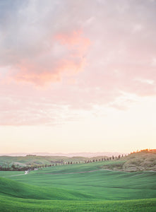 Essence Of Tuscany | No. 6