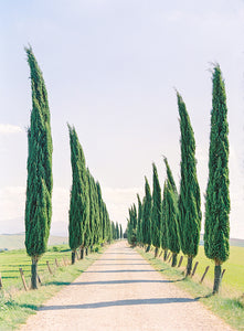 Highway to Tuscan Paradise | No. 1