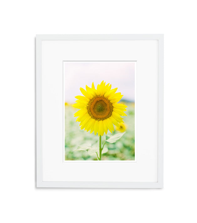 Sunny Earth | No. 4