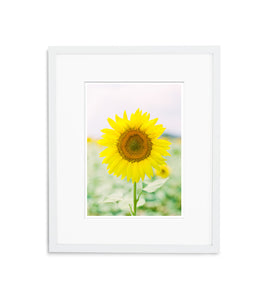Sunny Earth | No. 4
