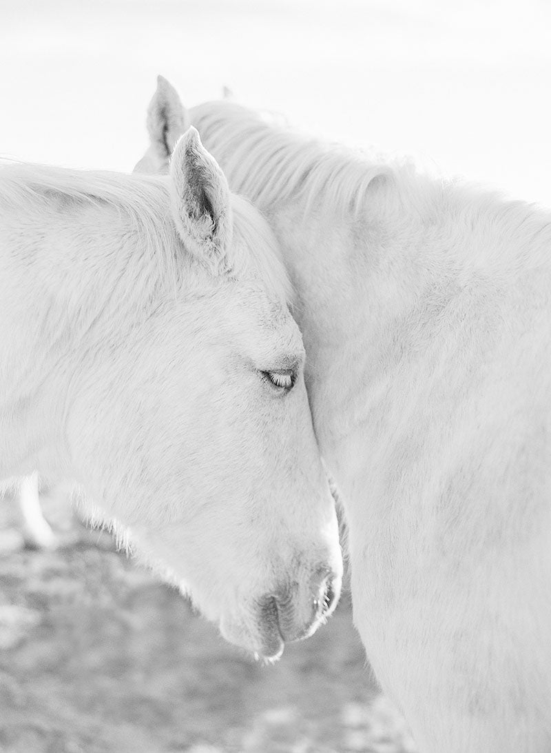 Love And Tenderness | No. 6